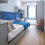 Rent a room in Sevilla