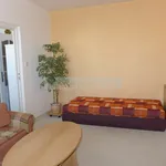 Rent 1 bedroom apartment in Plzeň