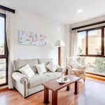 Rent 1 bedroom apartment of 44 m² in Madrid