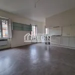 Maison de 196 m² avec 4 chambre(s) en location à Toulouse