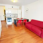 Rent 1 bedroom apartment of 40 m² in Roma