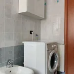 Rent 1 bedroom apartment in milan