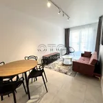 Rent 2 bedroom apartment of 46 m² in Wrocław