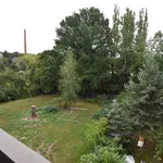 Rent 2 bedroom apartment of 64 m² in Chemnitz