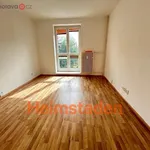 Rent 1 bedroom apartment of 30 m² in Ostrava