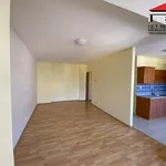 Rent 1 bedroom apartment in Brno