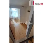 Rent 1 bedroom apartment of 25 m² in Prague