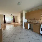 Rent 1 bedroom apartment of 100 m² in Székesfehérvár