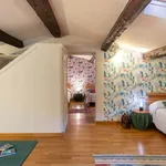 Rent 7 bedroom apartment of 250 m² in Lucca