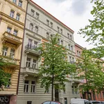 Rent 1 bedroom apartment of 49 m² in Prague