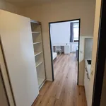 Miete 1 Schlafzimmer wohnung von 30 m² in Ulm