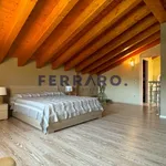 Rent 1 bedroom house of 90 m² in Treviso