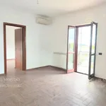 Rent 1 bedroom house of 80 m² in Palombara Sabina