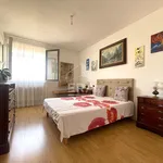 Rent 3 bedroom apartment of 84 m² in perpignan