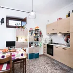 Rent 2 bedroom apartment of 41 m² in Torino