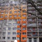 Rent 3 bedroom apartment in Pardubice