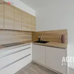 Pronajměte si 1 ložnic/e byt o rozloze 44 m² v Beroun