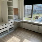 Huur 3 slaapkamer appartement van 50 m² in Rotterdam