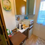 Rent 1 bedroom apartment of 30 m² in Torino