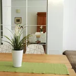 Rent 1 bedroom apartment of 50 m² in Florence