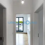 Rent 2 bedroom apartment of 42 m² in Berlin