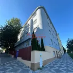 Rent 1 bedroom apartment in Capital City of Prague