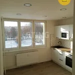 Rent 1 bedroom apartment in Ostrava