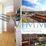 Rent 2 bedroom apartment of 48 m² in České Budějovice