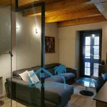 Rent 1 bedroom apartment of 44 m² in Pinerolo