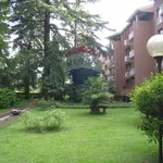 Rent 3 bedroom apartment of 120 m² in Varese