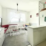 Rent 2 bedroom apartment of 36 m² in Pilsen