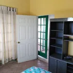 Rent 2 bedroom apartment of 80 m² in Baja California Norte