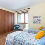 Rent 1 bedroom apartment of 70 m² in turin