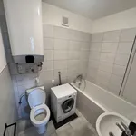 Rent 1 bedroom apartment in Adamov