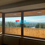 Rent 3 bedroom apartment of 77 m² in Frýdek-Místek