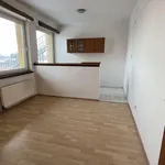 Rent 1 bedroom apartment of 22 m² in Ostrava