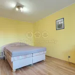 Rent 1 bedroom apartment of 39 m² in Písek