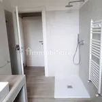 Rent 2 bedroom apartment of 70 m² in Novara