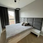 Rent 4 bedroom house of 100 m² in Szczecin