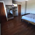 Rent a room of 150 m² in dublin