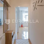 Rent 1 bedroom apartment of 50 m² in Zagreb