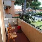 Rent 2 bedroom apartment of 50 m² in Cecina