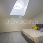 Rent 4 bedroom apartment of 75 m² in Grosseto