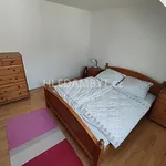 Pronajměte si 1 ložnic/e byt o rozloze 47 m² v Capital City of Prague