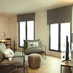 Rent 1 bedroom apartment in porto