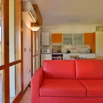 Rent 4 bedroom apartment of 45 m² in Bologna