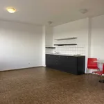 Pronajměte si 2 ložnic/e byt o rozloze 38 m² v Praha