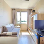 Rent 3 bedroom apartment of 48 m² in Toruń