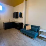 Rent 2 bedroom apartment of 55 m² in Turin