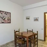 Rent 1 bedroom apartment in rome